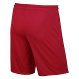   Nike Park VII short