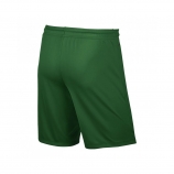   Nike Park VII short