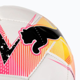 Puma Hala futsal 