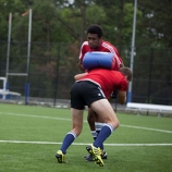 Rugby  Ütközőpajzs Senior