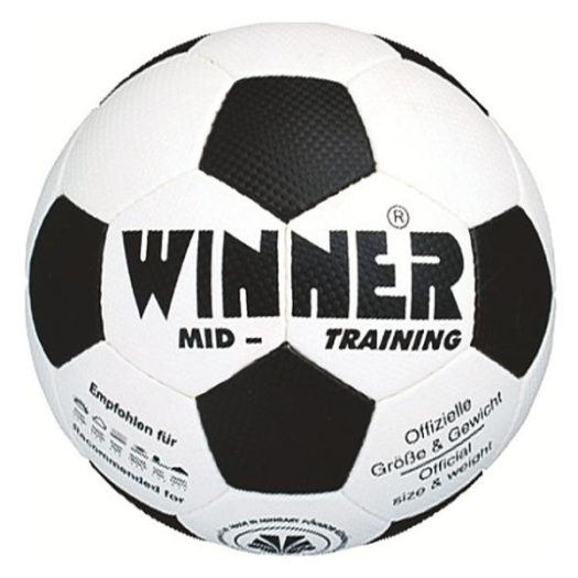 Winner Mid Training fociabda