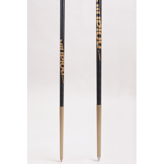 CA19-800 (CARBON PREMIUM LINE versenygerely)