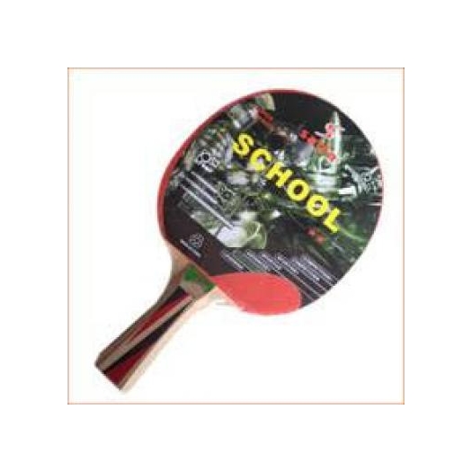 Salta School pingpongütő