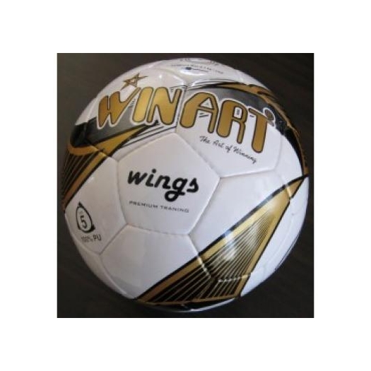 Winart wings No. 5 tréning labda