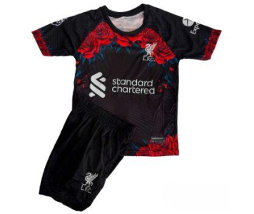 2024-es Liverpool szurkolói gyerek mezgarnitúra M.Salah felirattal