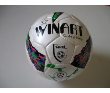 Winart Premier meccslabda
