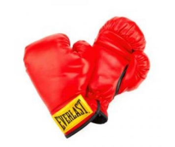 Everlast gyerek boxkesztyű