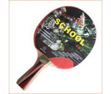 Salta School pingpongütő