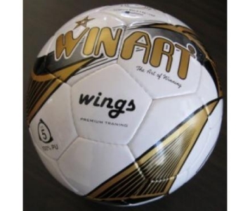 Winart wings No. 5 tréning labda